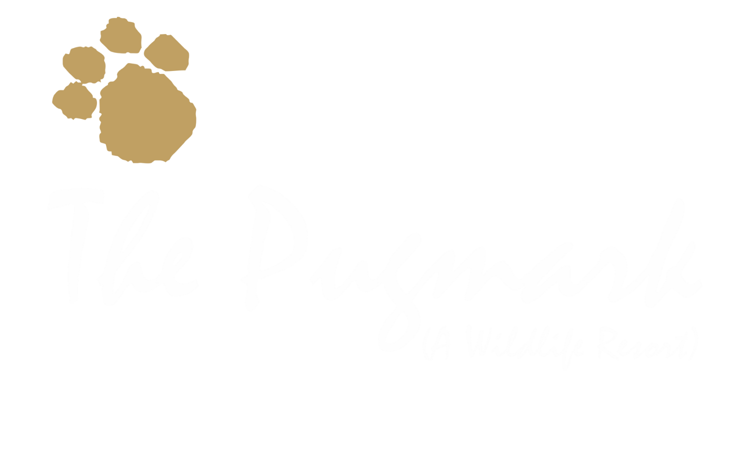 The Pugmark Logo